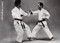 هیدان شُدان