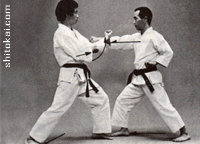 هیدان شُدان