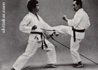 هیدان شُدان