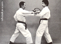 نی فانچین شُدان