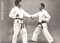 نی فانچین شُدان