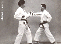 نی فانچین شُدان