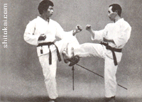 نی فانچین شُدان