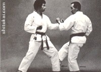 نی فانچین شُدان