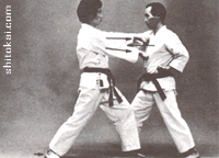 نی فانچین شُدان