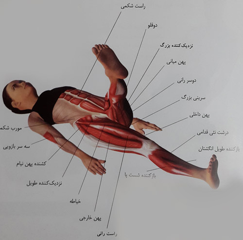 حرکات دورانی یک پا
