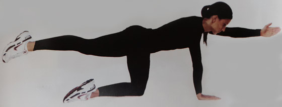 بلند کردن دست وپا از حالت چهار دست و پا