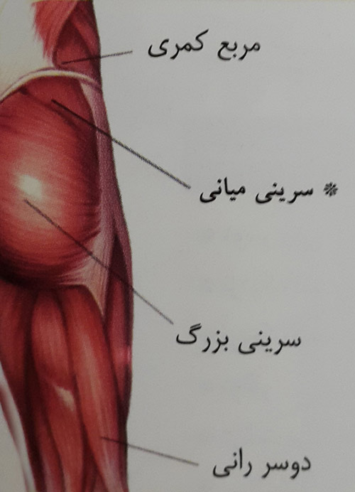 پل زدن جانبی با یک دست