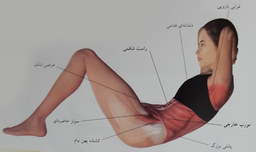 دراز و نشست