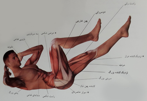 دراز و نشست متقاطع